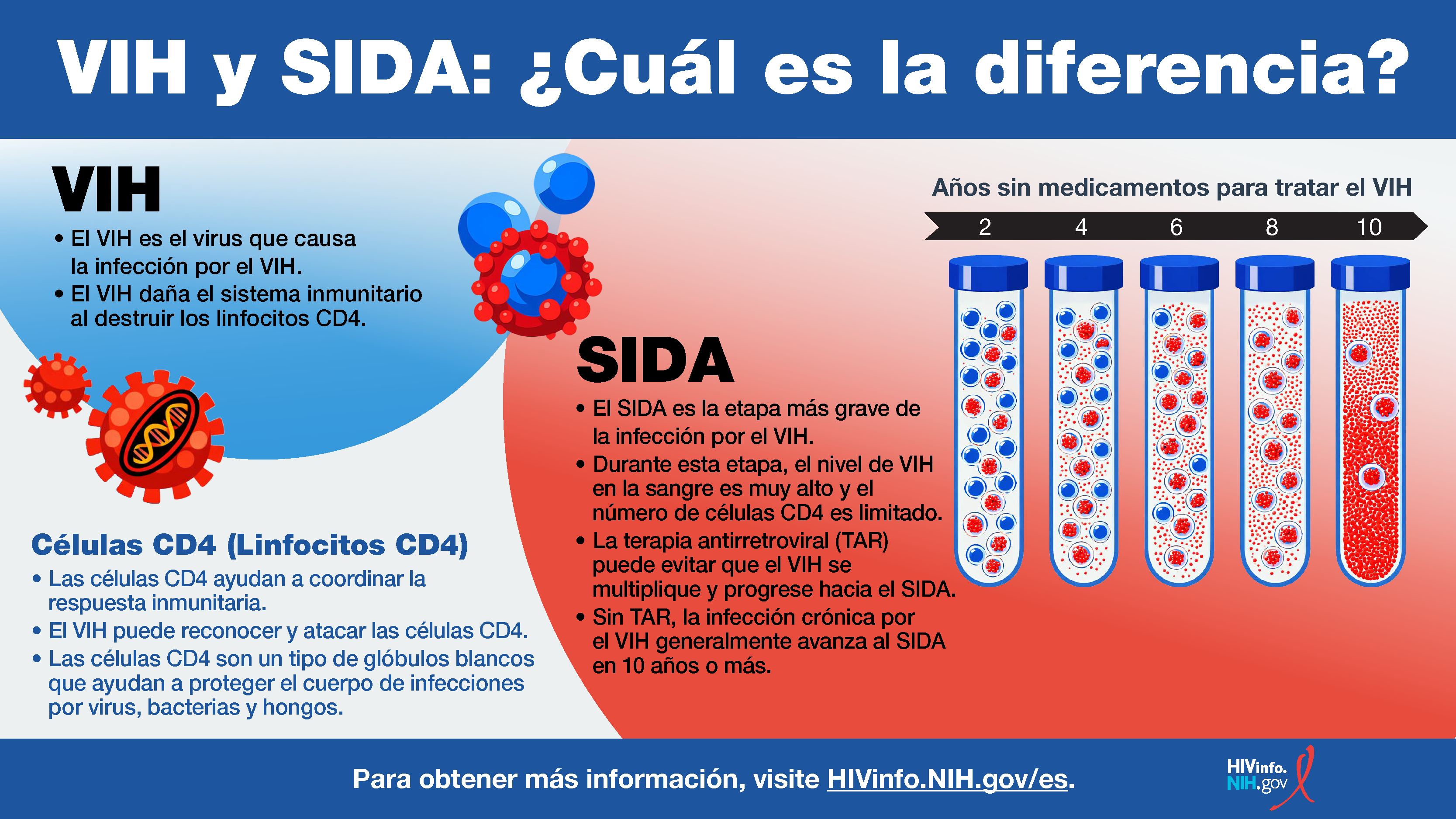 ¿Cuál es más seguro?