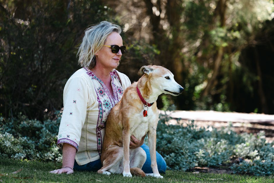 Decoración primavera 2026: 6. Plantas resistentes y de bajo mantenimiento por encima de las de moda