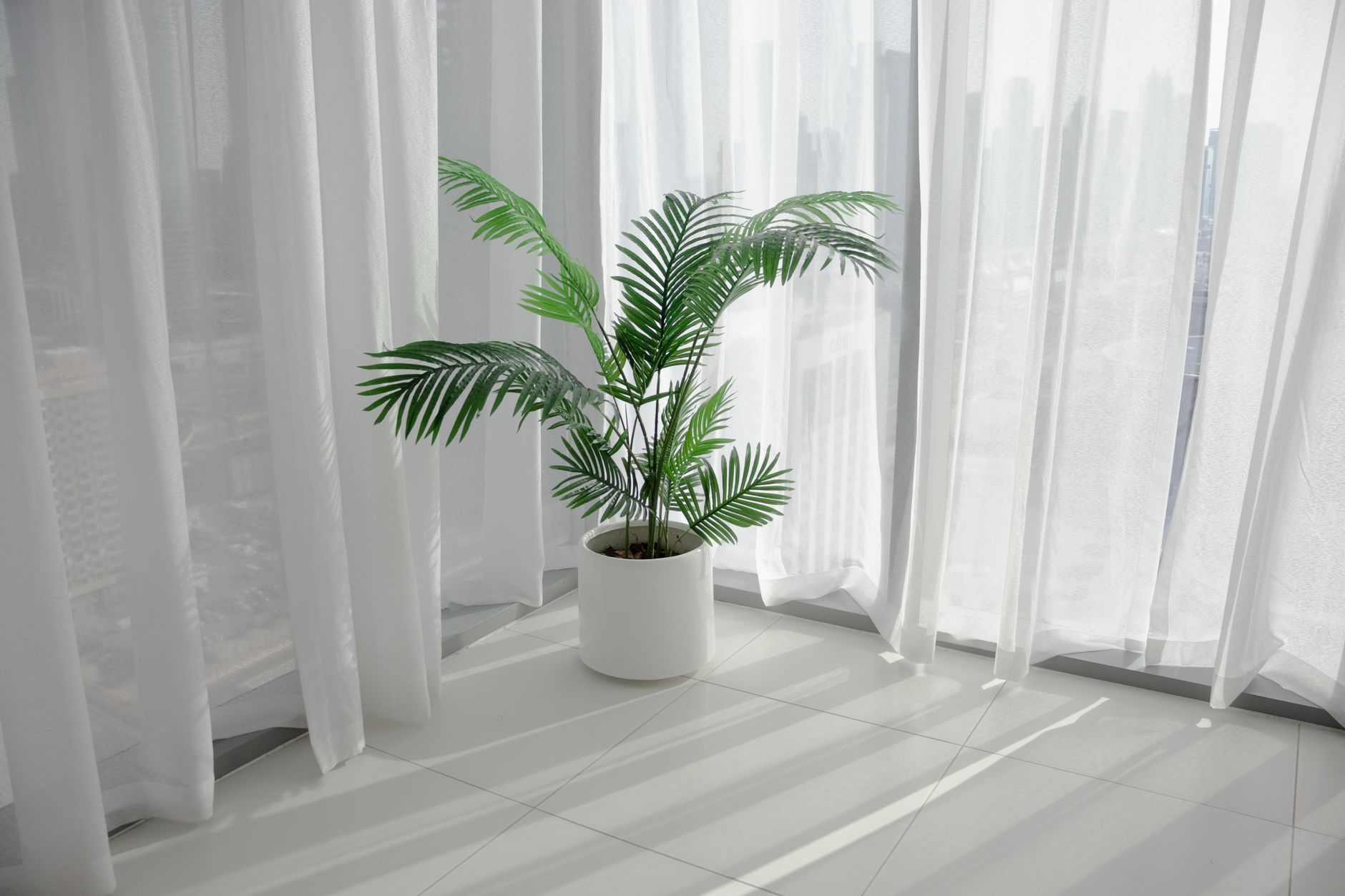 Cortinas blancas livianas cubriendo la ventana de un apartamento, con una planta en maceta en el rincón