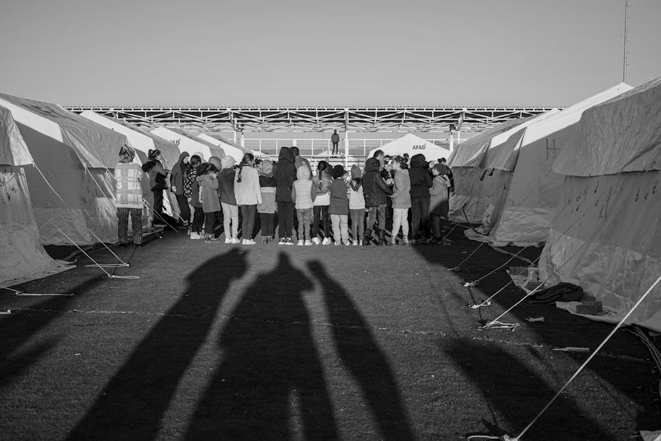 Imagen de referencia sobre el contenido