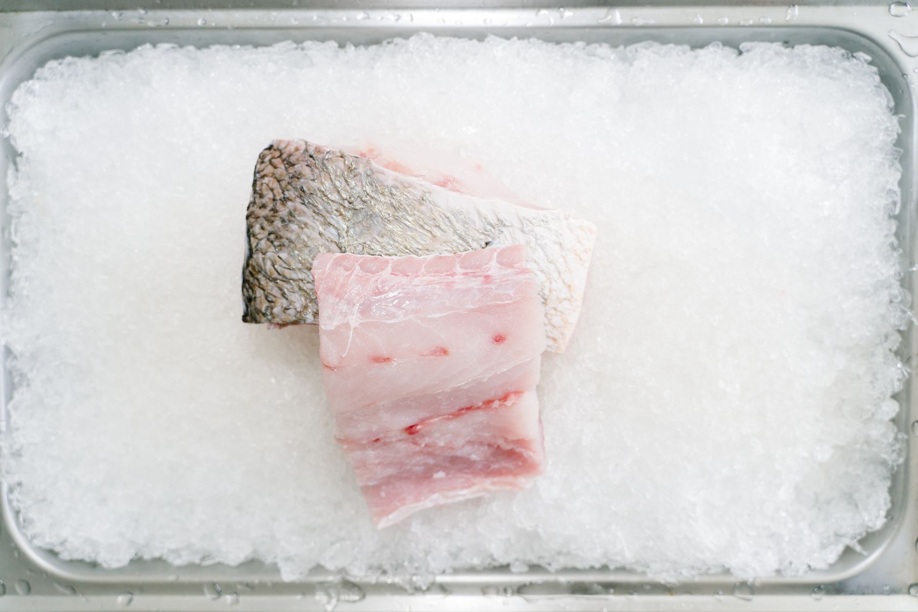 Cortes de pescado blanco fresco sobre hielo picado, los sustitutos del cazón