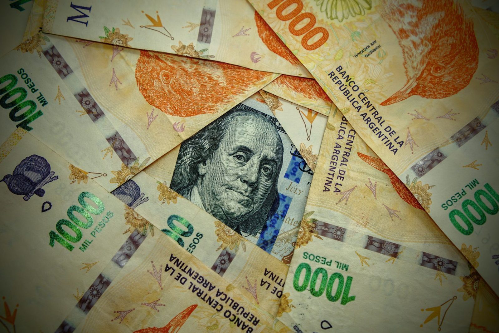 Billete de cien dólares entre billetes de mil pesos argentinos extendidos sobre una mesa