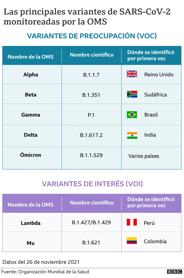 La OMS sobre el covid-19 clasifica "de interés" la variante andina del SARS-CoV-2 que está prevaleciendo en Latinoamérica y le asigna un nombre.