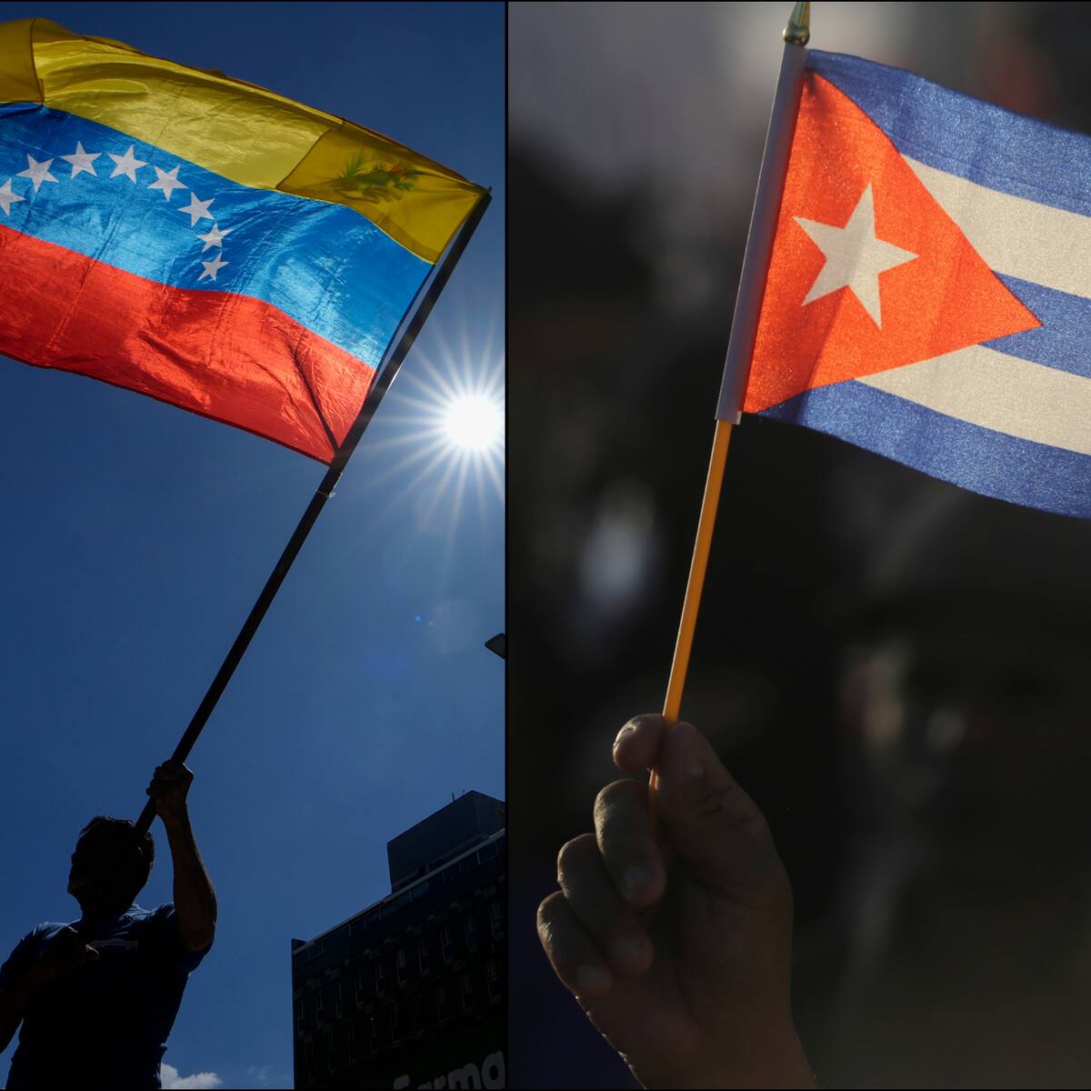 Mi consejo para quienes están en esta situación