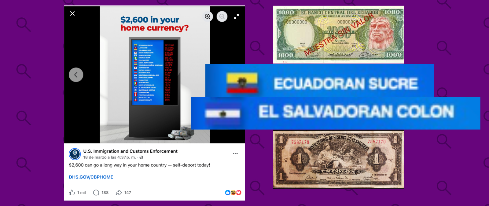 Alternativas al Parole Humanitario: ¿Cuáles son tus opciones?